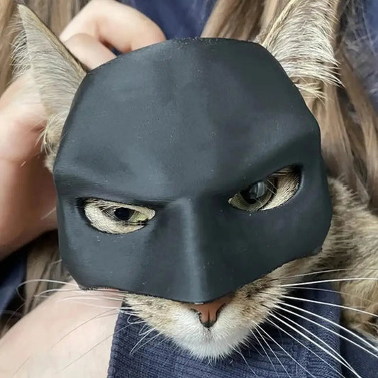 Halloween Cat Mask & Bat Cosplay Hat | Black Party Accessory