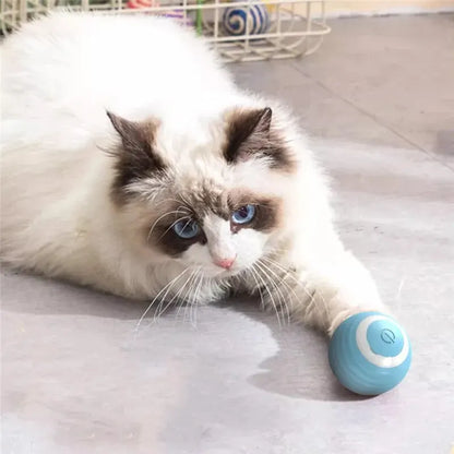 Interactive Electric Rolling Ball Toy for Cats