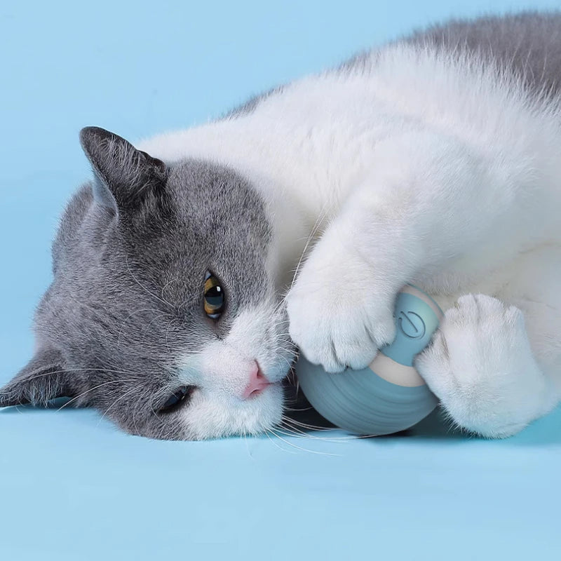 Interactive Electric Rolling Ball Toy for Cats