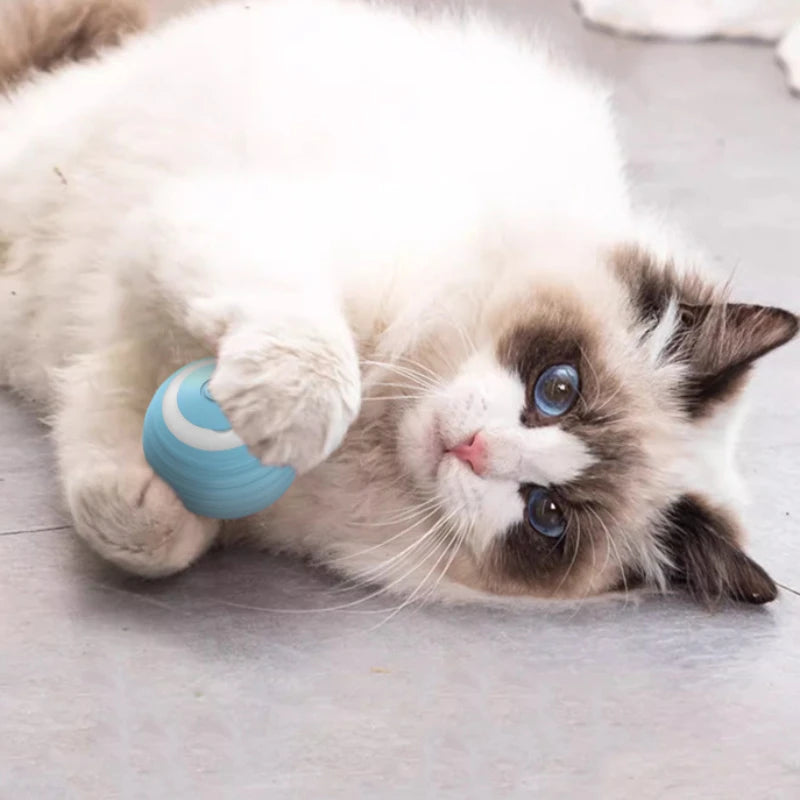 Interactive Electric Rolling Ball Toy for Cats